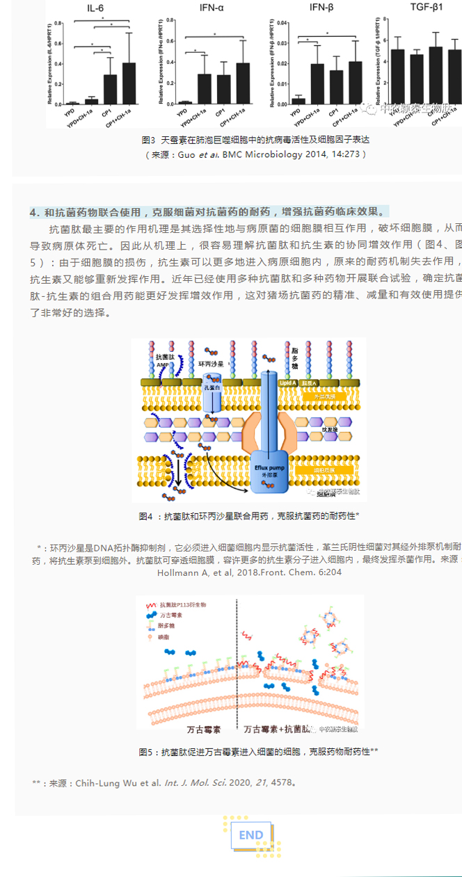淺談抗菌肽添加劑在養豬現場的應用_03