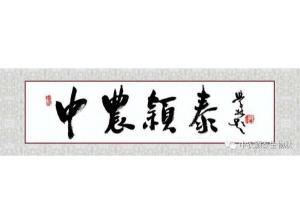 2021年：工作動(dòng)態(tài)，中農(nóng)穎泰工會(huì)順利換屆