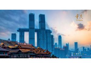 中農(nóng)穎泰集團(tuán)助力2021·太陽(yáng)鳥論壇盛大開幕！